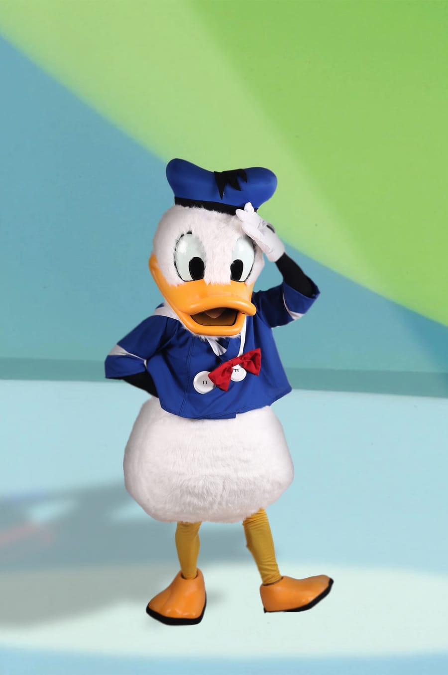 Donald, personnage Mascotte Dreams