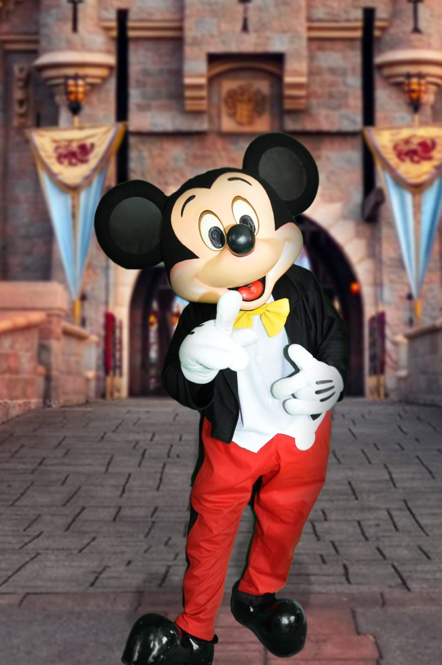 Mickey, personnage Mascotte Dreams